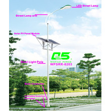 WPSRR-8203 3~15m Municipal Road Hot DIP Galvanized Steet Light Pole style